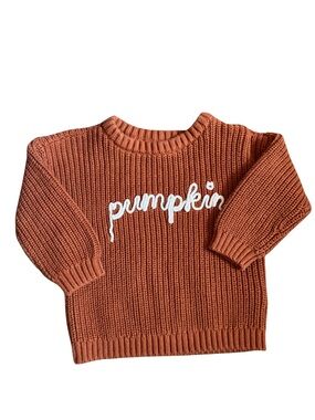 Old Navy Chunky Knit Pumpkin Sweater